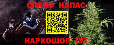 спиды Владимир