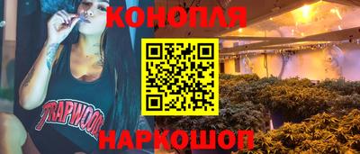 стафф Братск