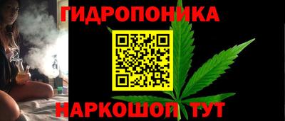 стафф Братск